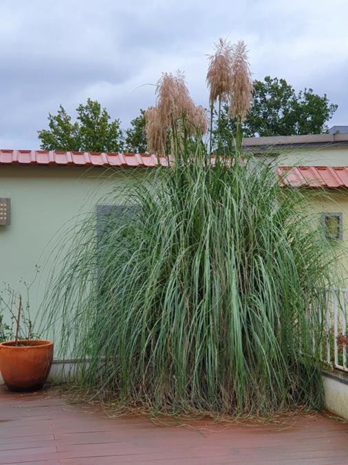Arthotel BRE Exterior photo